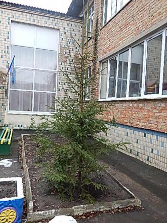 /Files/images/maydanchik__psochnitsya/DSCN9940.JPG